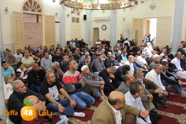 suliman h33jq (4).JPG